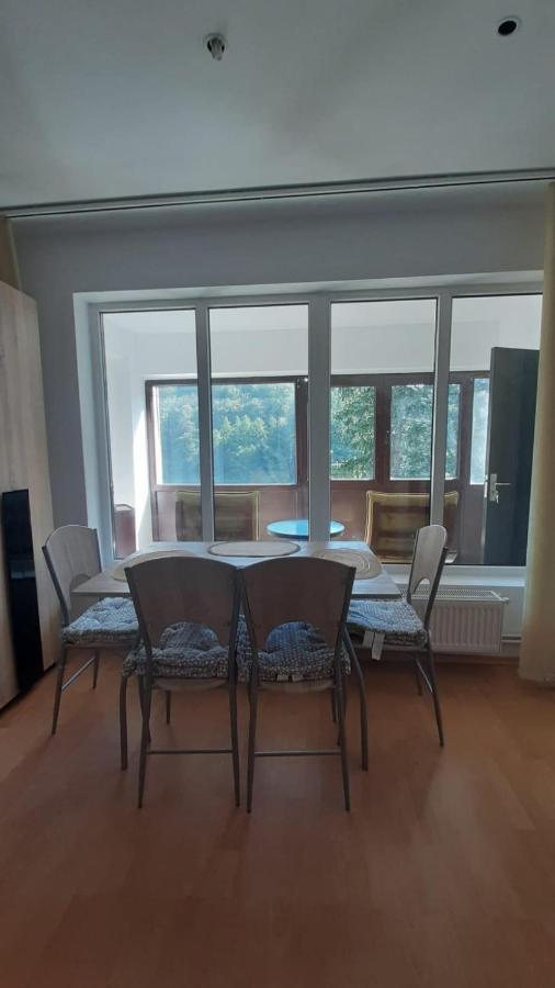 Monik Apartament Sinaia Eksteriør bilde