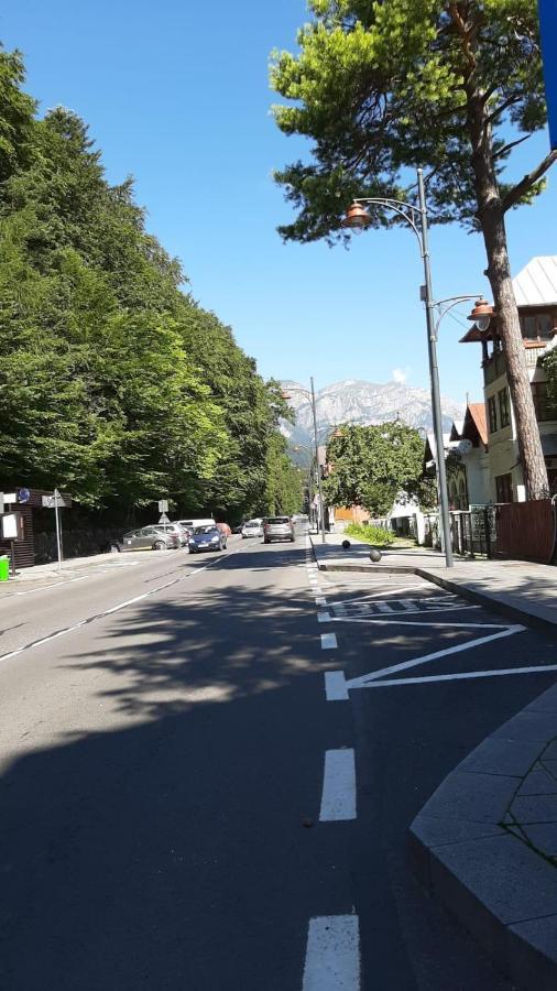 Monik Apartament Sinaia Eksteriør bilde