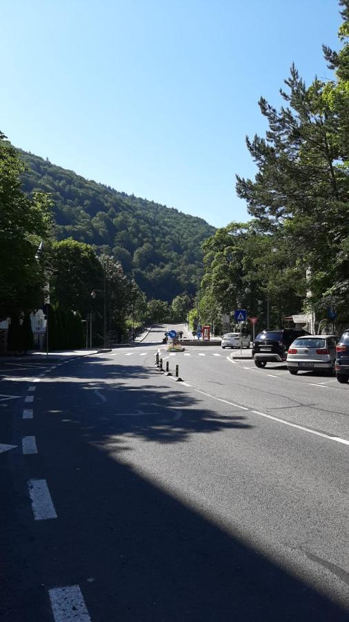 Monik Apartament Sinaia Eksteriør bilde