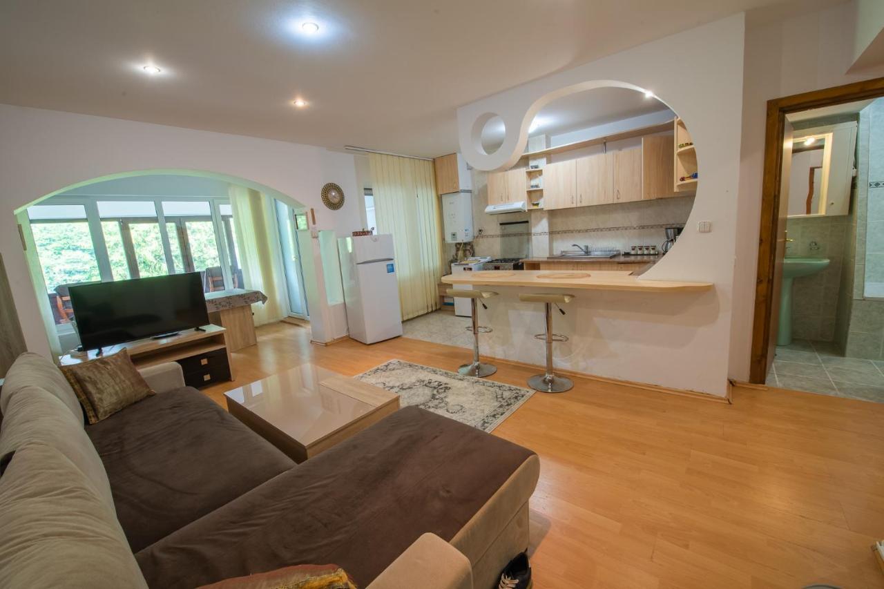 Monik Apartament Sinaia Eksteriør bilde