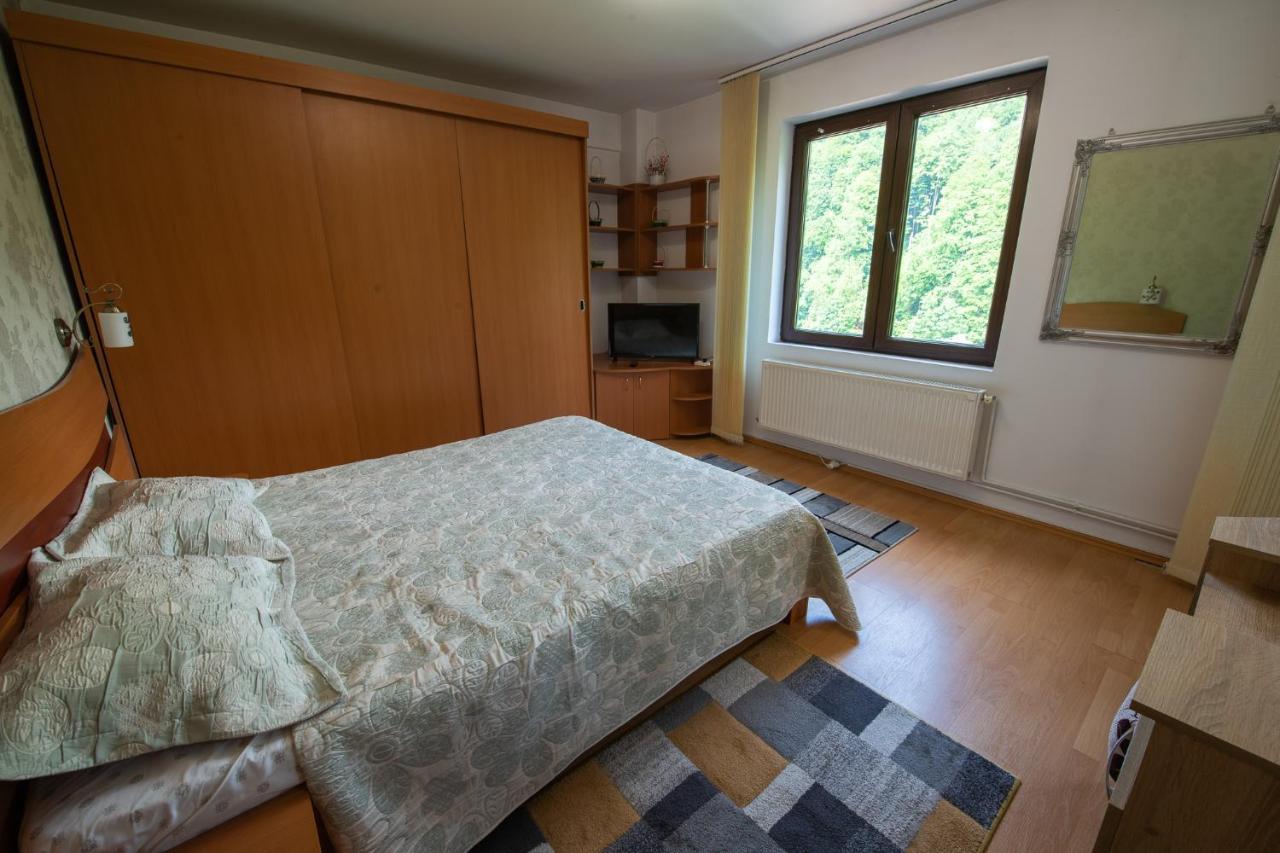 Monik Apartament Sinaia Eksteriør bilde
