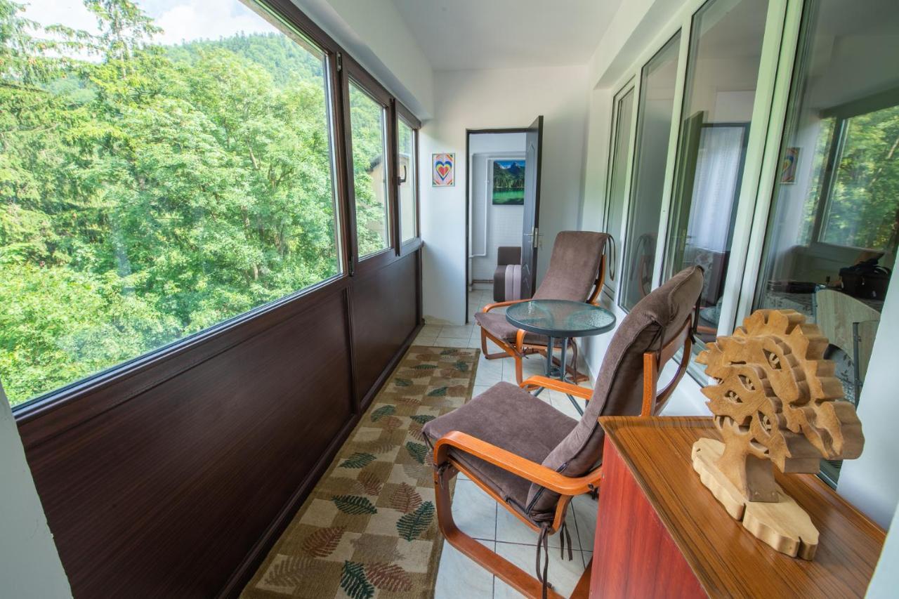 Monik Apartament Sinaia Eksteriør bilde