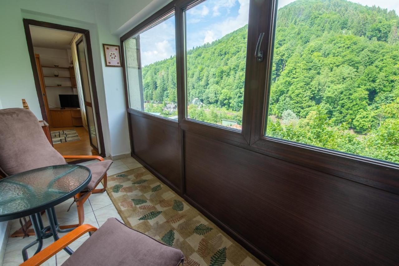 Monik Apartament Sinaia Eksteriør bilde