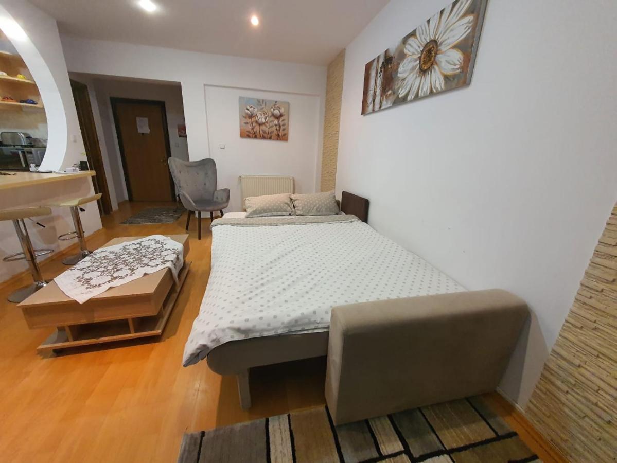 Monik Apartament Sinaia Eksteriør bilde